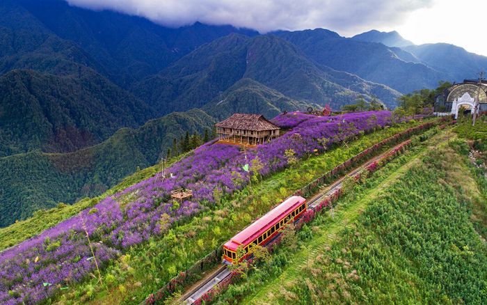 Ngắm nhìn Việt Nam đa sắc màu qua ô kính tàu hỏa