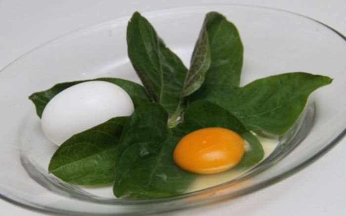 Loại lá mọc hoang đầy đường mang nấu cùng trứng gà được ví như tiên dược, chữa được nhiều bệnh