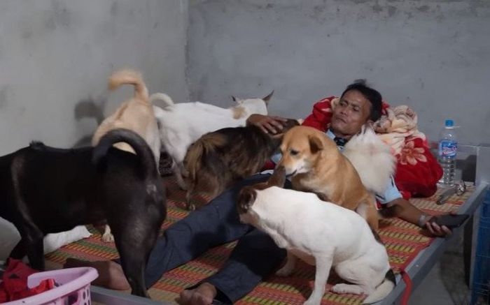 Cặp vợ chồng không sinh con để nuôi hơn 300 con chó mèo theo cách lạ lùng