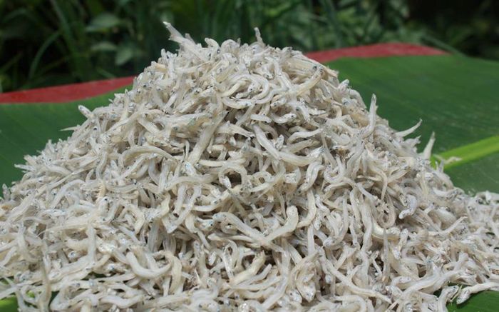 Loại cá bé tí ti xưa đầy không ai ăn, giờ thành đặc sản hiếm, 500.000 đồng/kg