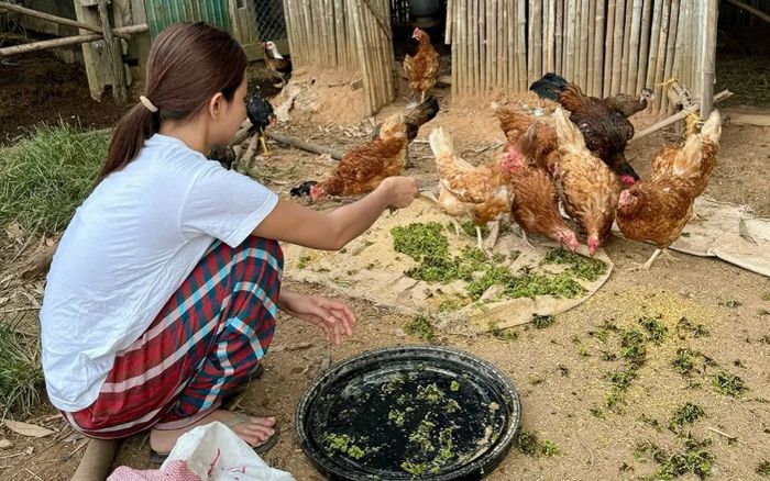 Nữ ca sĩ nổi tiếng showbiz về quê nuôi gà, chăn bò