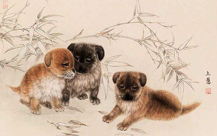 3 con giáp may mắn và thành công nhất trong năm 2024