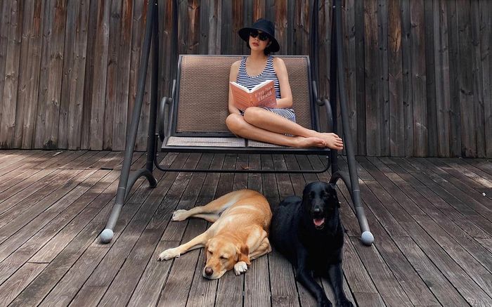 Tăng Thanh Hà và nhiều sao Việt phẫn nộ, chuyện gì vậy?