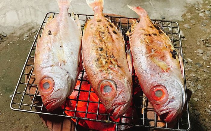 Loại cá xưa đầy không ai ăn, giờ thành đặc sản được yêu thích đến lạ, 300.000 đồng/kg