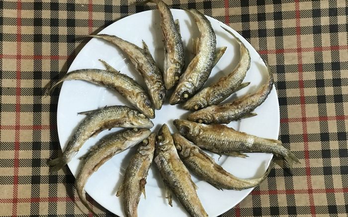 Loại cá xưa rẻ không ai bán, giờ thành đặc sản hiếm được ưa chuộng đến lạ, 200.000 đồng/kg