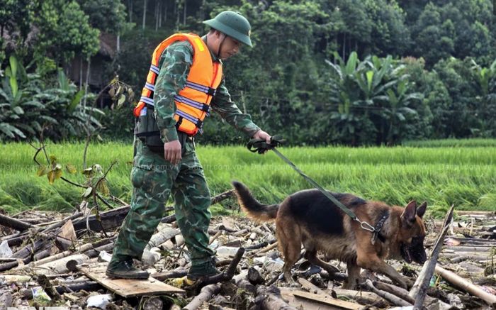 Diễn biến mới nhất vụ lũ quét vùi lấp 128 người ở thôn Làng Nủ, chó nghiệp vụ đưa vào tìm kiếm