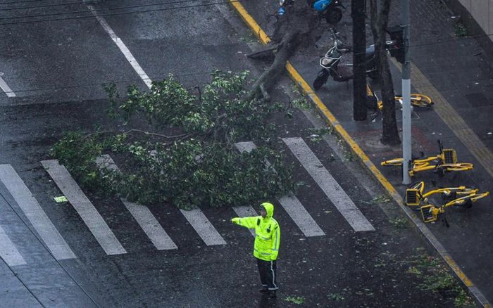 Bebinca được gọi là 'cơn bão tồi tệ nhất', tàn phá Thượng Hải khi đổ bộ