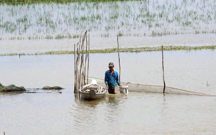 Các tỉnh miền Tây cảnh báo ngập lụt