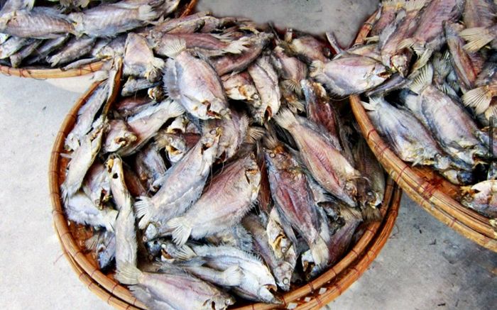 Loại cá xưa ít ai ăn, giờ phơi khô thành đặc sản được mua rần rần, 400.000 đồng/kg