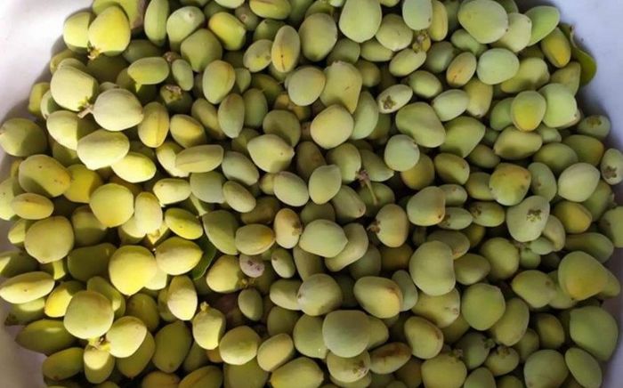 Loại quả xưa đầy ít người bán, giờ thành đặc sản được ưa chuộng đến lạ, 140.000 đồng/kg