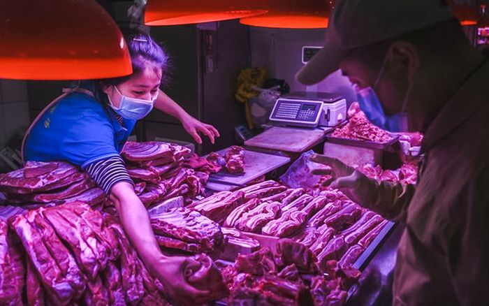 Công bố mới về loài động vật là nguồn gốc phát tán đại dịch COVID-19