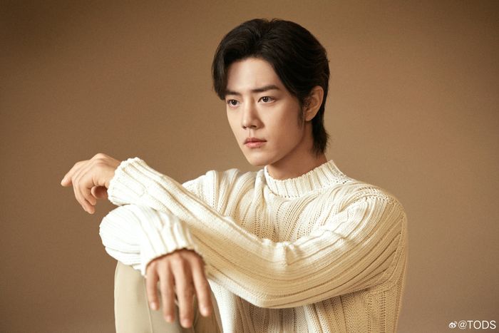 Năm 2020, Tiêu Chiến từng có thời gian bị tẩy chay sau khi nổi tiếng nhờ Trần Tình Lệnh, nguyên nhân là gì?