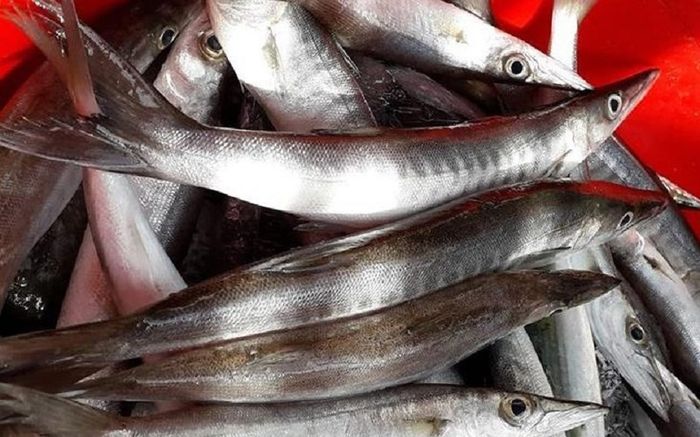 Loại cá xưa đầy ít người ăn, giờ thành đặc sản thử một lần nhớ mãi không quên, 150.000 đồng/kg