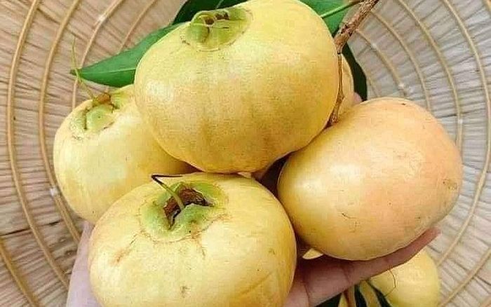 Loại quả xưa đầy ít ai ăn, giờ thành đặc sản được dân thành phố 'săn lùng' nhưng hiếm, 400.000/kg