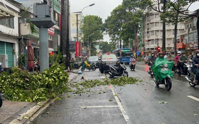 TP.HCM: Đến trường đại học đón con, người phụ nữ bị nhánh cây rơi trúng tử vong