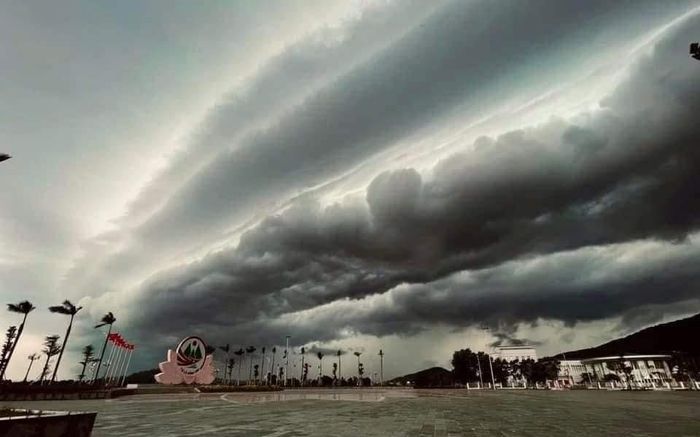 Siêu bão Yagi trước giờ đổ bộ: Mây phủ kín trời, gió mạnh khiến cây xanh bật gốc đè xe máy