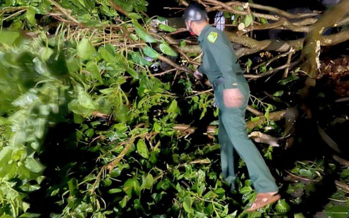 Thanh niên tử vong sau khi tông trúng cây gãy đổ chắn ngang đường