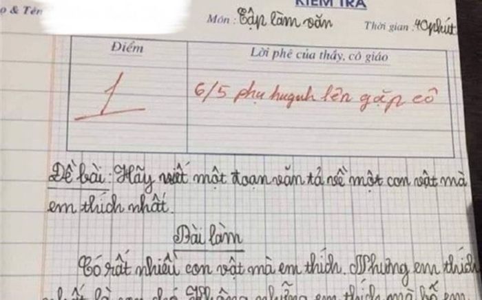 Bài văn 'tả con chó' nhận điểm 1, cô giáo còn yêu cầu mời phụ huynh lên gặp