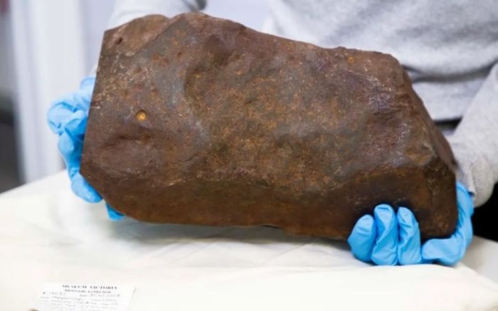 Nhặt được cục đá đen sì, anh nông dân toan vứt đi ai ngờ lại là thứ 'quý hơn vàng'