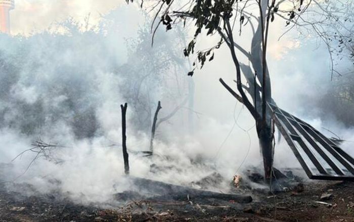 Đốt nhang muỗi rồi ngủ quên, người đàn ông tá hỏa với cảnh tượng sau khi mở mắt