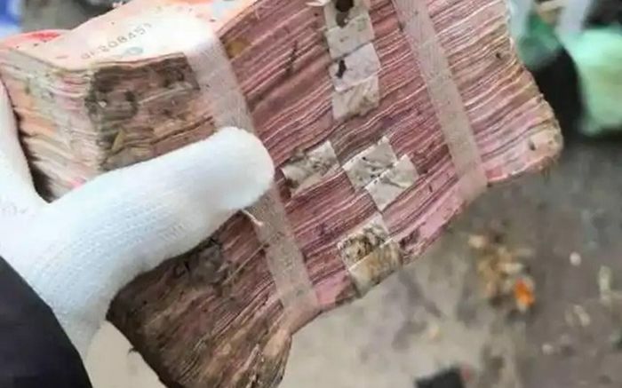 Cặp đôi vứt gần 800 triệu vào thùng rác, 7 người nỗ lực tìm kiếm