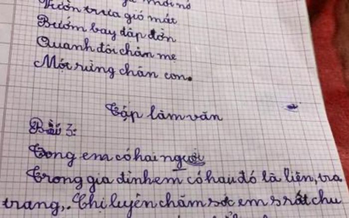 Bài văn tả chị gái chỉ vỏn vẹn 3 dòng, cô giáo được phen 'ngã ngửa' khi đọc nội dung
