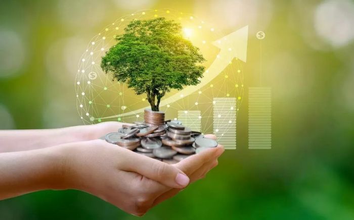 Việt Nam 'rộng đường' phát triển tài chính xanh