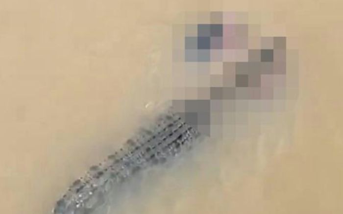 Người phụ nữ ra bờ sông giặt đồ thì bị con cá sấu lôi xuống nước, cảnh tượng tìm thấy gây đau lòng