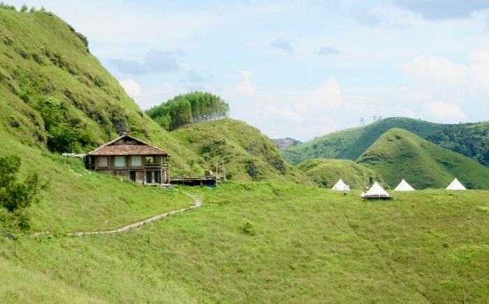 Mê mẩn đồi cỏ xanh rì tại Cao Bằng