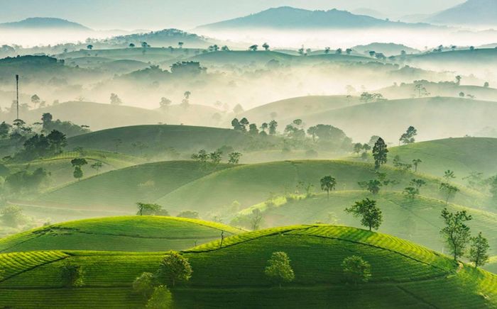 Những địa điểm nức tiếng ở Phú Thọ, du khách đến một lần là nhớ mãi