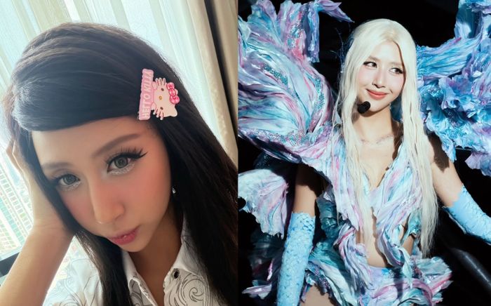 Đâu mới thật sự là Quỳnh Anh Shyn?