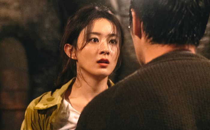 Sự đáp trả của Triệu Lệ Dĩnh