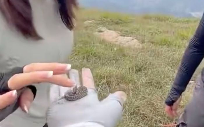 Người đàn ông nhặt sinh vật nhỏ màu xanh lên rồi để bạn bè vuốt ve, dân mạng rùng mình khi biết đó là loài cực độc