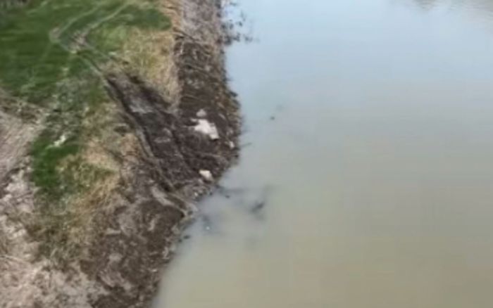 Chú rể 29 tuổi nhảy sông trong ngày đám cưới, hét lên câu nói cuối cùng đầy đau lòng