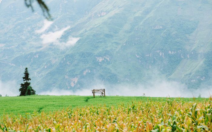 Địa điểm check-in tại Việt Nam được ví như 'tiểu Thụy Sĩ'