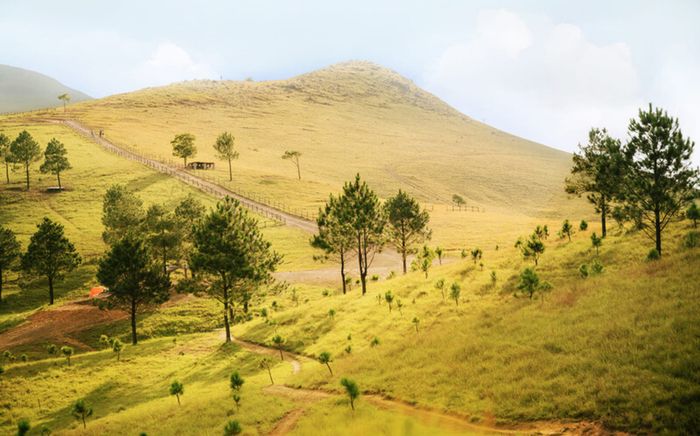 Đỉnh Phượng Hoàng - khung cảnh trời Âu tại Quảng Ninh