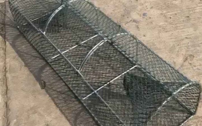 Nghĩ câu được con cá lớn, người đàn ông 69 tuổi kinh hoàng sau khi mở chiếc bẫy