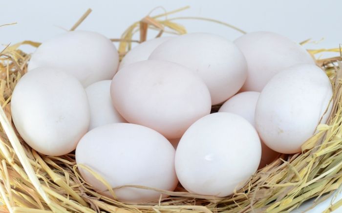 Ăn trứng vịt liên tục, cơ thể sẽ phát tín hiệu ra sao?