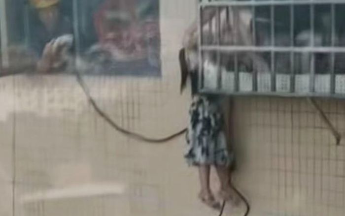 Nghe tiếng động lạ ngoài ban công, người phụ nữ mở cửa sổ thì phát hiện cảnh tượng sửng sốt