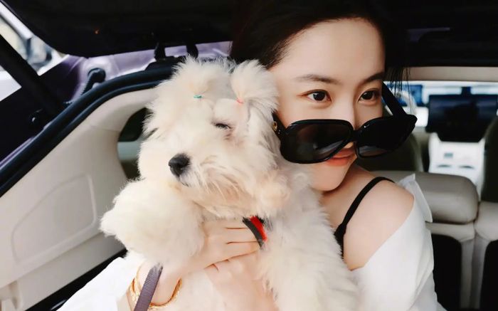 Choáng trước nhan sắc U40 của Lưu Diệc Phi, nhìn cứ ngỡ gái đôi mươi!