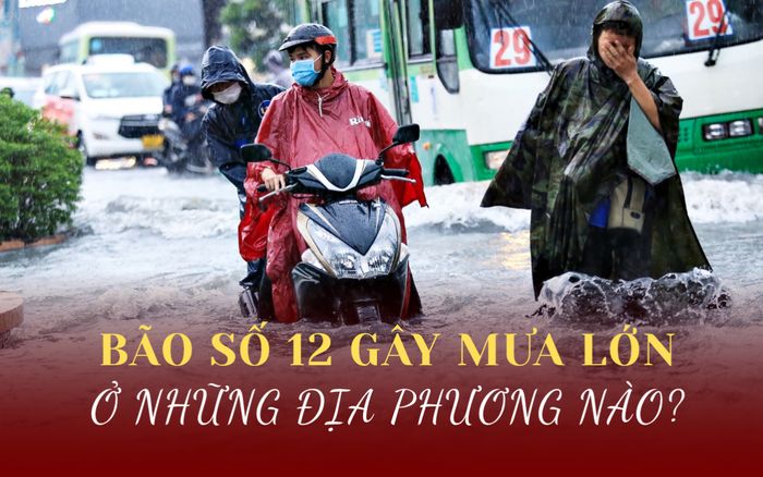Bão số 12 gây mưa lớn tại những tỉnh nào ở miền Trung?