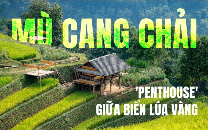 Khám phá 'penthouse' giữa biển lúa vàng ở Mù Cang Chải