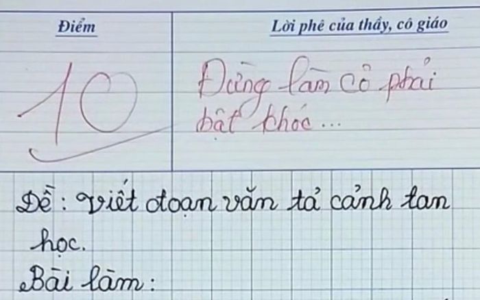 Rưng rưng với bài văn tiểu học đạt điểm 10, cô giáo lặng người vì xúc động