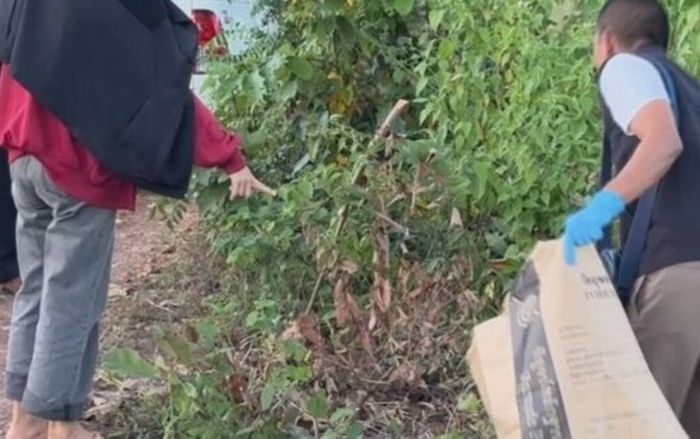 Bắt giữ người mẹ thiêu sống đứa con mới sinh chưa kịp cắt dây rốn, lời khai gây phẫn nộ