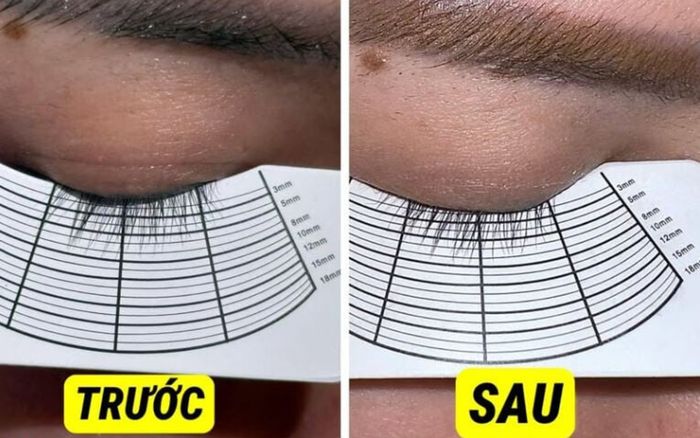 Cãi nhau vì kem dưỡng mi làm gì, học ngay bí kíp này là mi tự cong