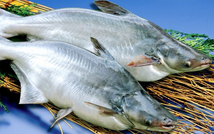 Mỹ đánh giá một loại cá tốt hơn cá hồi lại giúp tăng tuổi thọ, ở Việt Nam bán rất rẻ