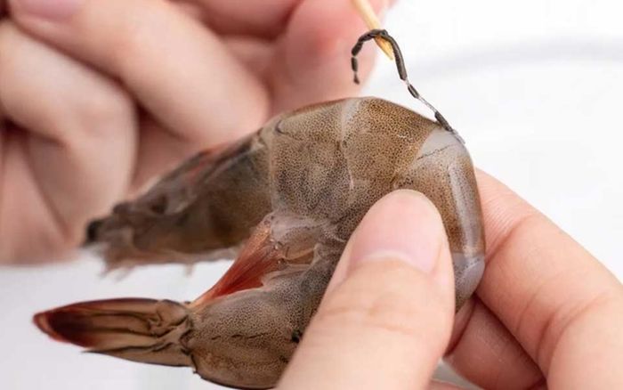 Sự thật gây sốc về đường chỉ đen trên lưng tôm: Ăn thường xuyên có thể hại sức khỏe