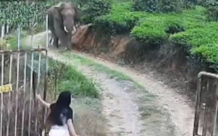 Chồng ra ngoài quên đóng cửa, người vợ hốt hoảng ôm con chạy trốn khi thấy 'vị khách không mời'