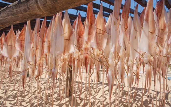 Một đặc sản Phan Thiết lọt top ngon nhất thế giới, dân sành ăn săn lùng mua bằng được