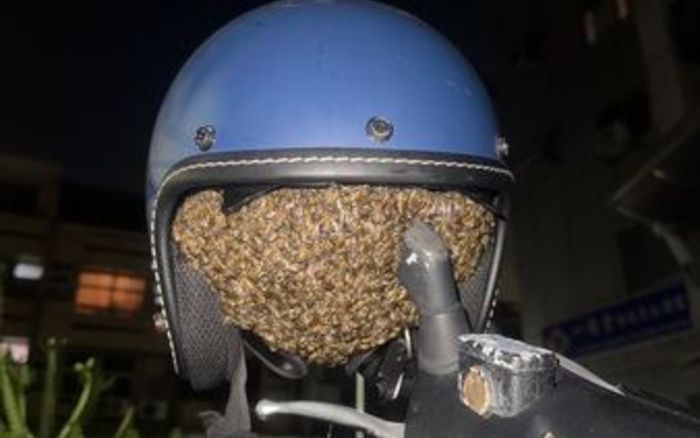 Treo mũ bảo hiểm qua đêm, người phụ nữ sốc nặng khi phát hiện cảnh tượng kinh hoàng